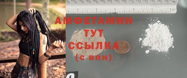 крисы Алзамай