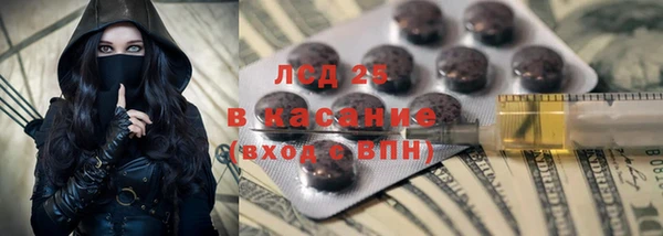 крисы Алзамай
