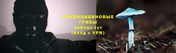 крисы Алзамай