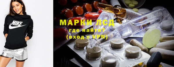 крисы Алзамай