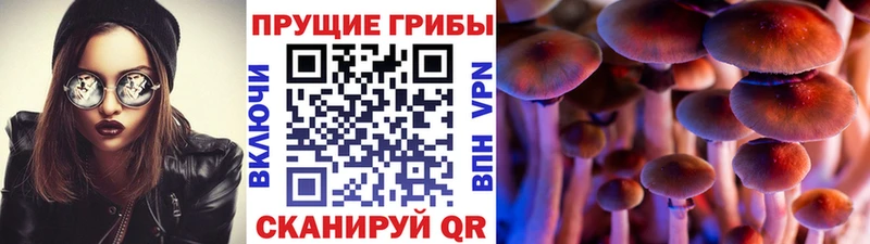 мега ссылки  что такое наркотик  Апатиты  Галлюциногенные грибы Cubensis 