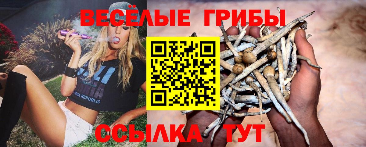 Меф  Мяу-Мяу  ГАШ  А ПВП  Вход с VPN  Апатиты  Бошки Шишки 