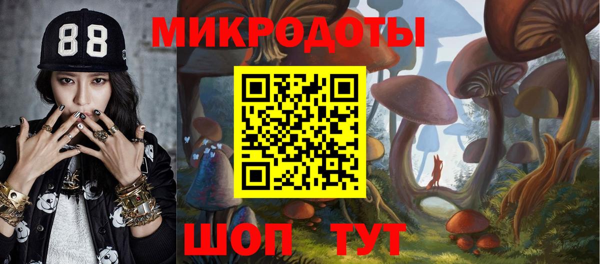 Апатиты  Галлюциногенные грибы Psilocybe  Вход с VPN 