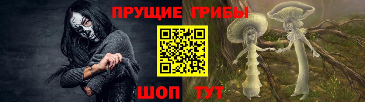 Псилоцибиновые грибы MAGIC MUSHROOMS Апатиты