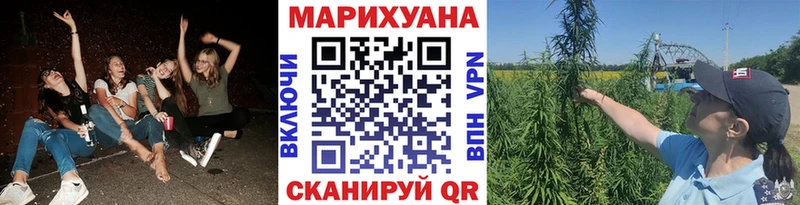 Канабис конопля Апатиты