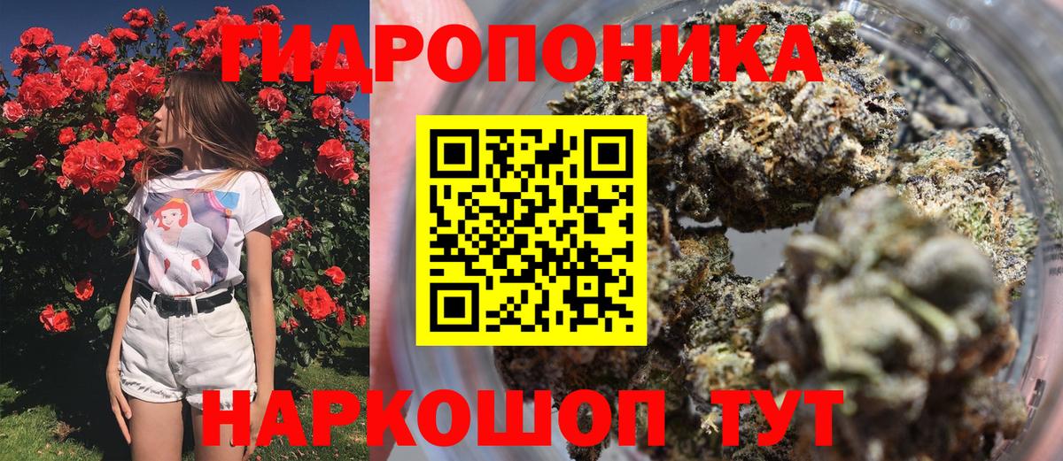 Марихуана гибрид  Вход с VPN  Шишки марихуана конопля  Бошки Шишки MAZAR  Каннабис THC 21%  Апатиты 