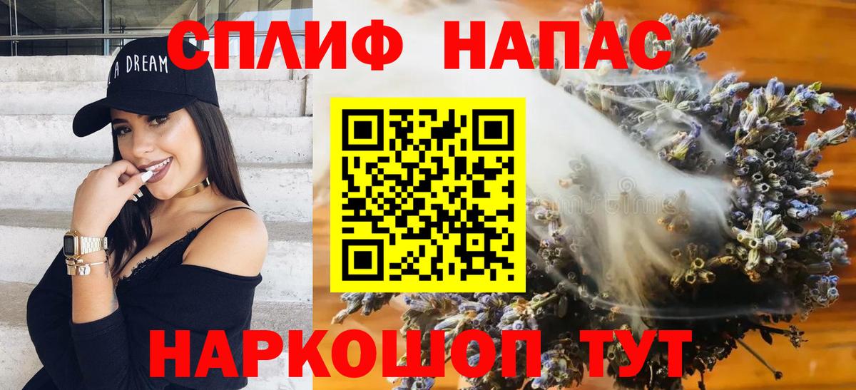Конопля конопля Апатиты